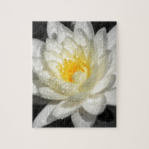 White Water Lily Foto Legpuzzel