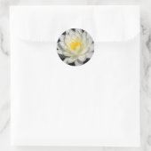 White Water Lily Foto Ronde Sticker (Tas)