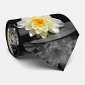 White Water Lily Foto Stropdas (Opgerold)