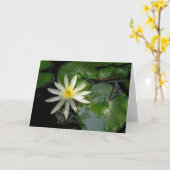 White Water Lily Kaart (Gele Bloem)