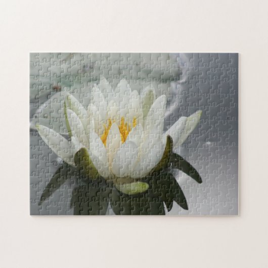 White Water Lily Lotus Blossom Flower Legpuzzel (Horizontaal)