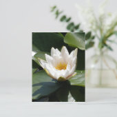 White Water Lily Lotus Flower Briefkaart (Staand voorkant)