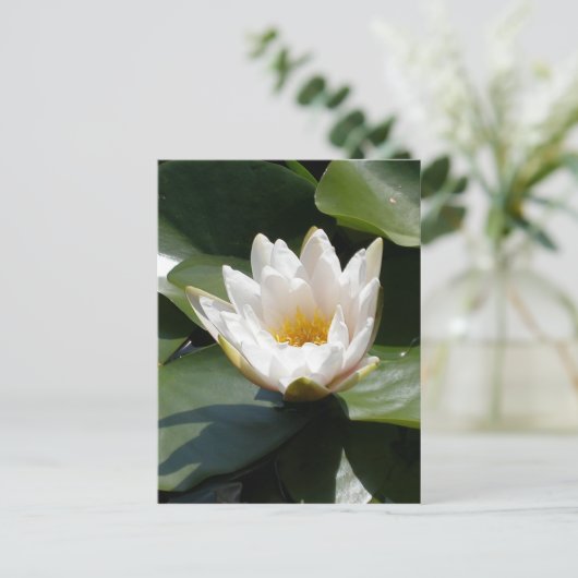 White Water Lily Lotus Flower Briefkaart (Staand voorkant)