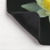 White Water Lily/Lotus Muismat (Hoek)