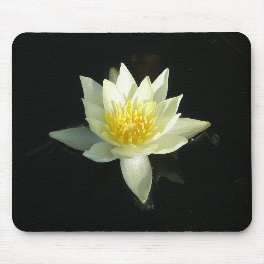 White Water Lily/Lotus Muismat (Voorkant)