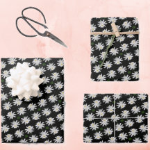 White Water Lily met zwarte achtergrond - Floral