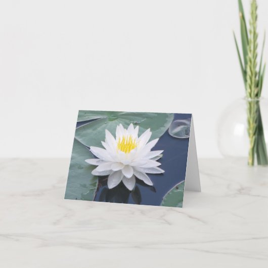 White Water Lily Photo Folded Note Kaart (Voorkant)