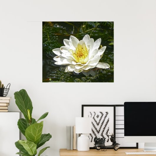 White Water Lily Poster (Thuiskantoor)