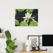 White Water Lily Poster (Thuiskantoor)