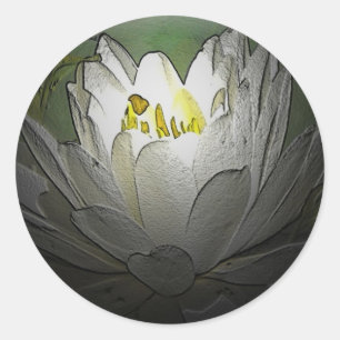 White Water Lily Stickers