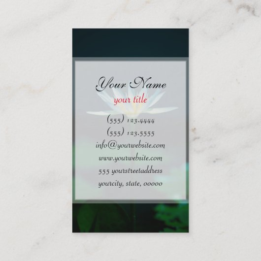 White Water Lily Visitekaartje (Achterkant)