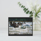 White Water Rafting Briefkaart (Staand voorkant)