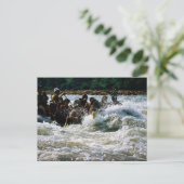 White Water Rafting Briefkaart (Staand voorkant)