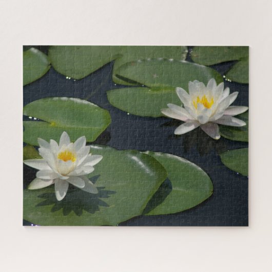 White Waterlilies Jigzaag Puzzle Legpuzzel (Horizontaal)