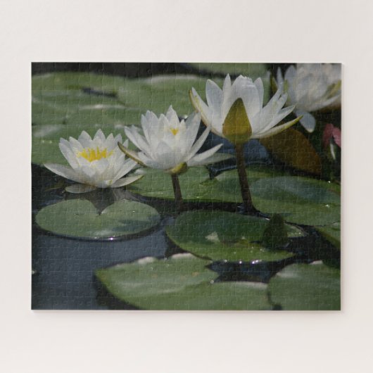 White Waterlilies Jigzaag Puzzle Legpuzzel (Horizontaal)