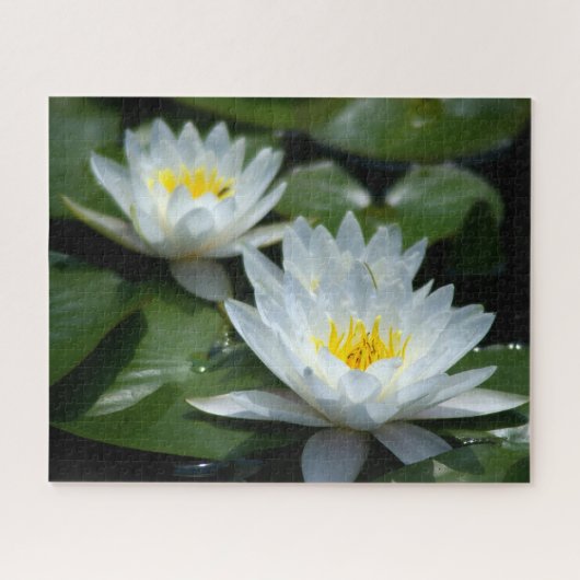 White Waterlilies Jigzaag Puzzle Legpuzzel (Horizontaal)