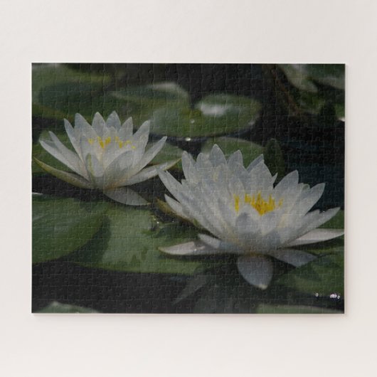 White Waterlilies Jigzaag Puzzle Legpuzzel (Horizontaal)