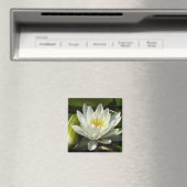 White Waterlily and Bud Floral Magneet (Insitu (Vaatwasser))