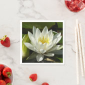 White Waterlily and Bud Floral Servet (Insitu)