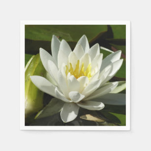 White Waterlily and Bud Floral Servet