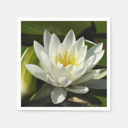 White Waterlily and Bud Floral Servet (Voorkant)