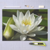 White Waterlily and Bud Floral Tissuepapier (Craft)