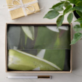 White Waterlily and Bud Floral Tissuepapier (Geschenk)