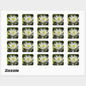 White Waterlily and Bud Floral Vierkante Sticker (Vel)