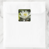 White Waterlily and Bud Floral Vierkante Sticker (Tas)