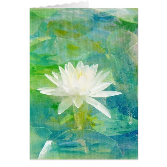 White Waterlily Blossom (Voorkant)