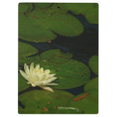 White Waterlily I Peaceful Floral Photography Klembord (Achterkant)