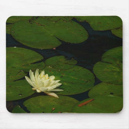 White Waterlily I Peaceful Floral Photography Muismat (Voorkant)