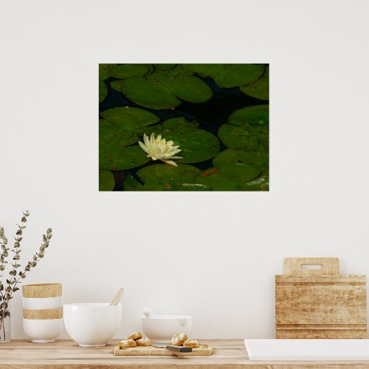 White Waterlily I Peaceful Floral Photography Poster (Keuken)