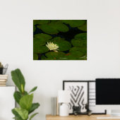 White Waterlily I Peaceful Floral Photography Poster (Thuiskantoor)