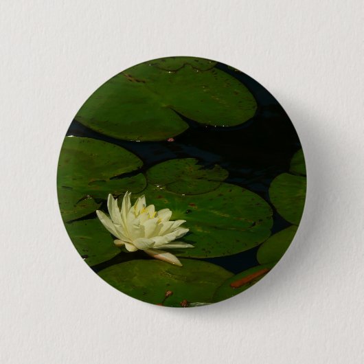 White Waterlily I Peaceful Floral Photography Ronde Button 5,7 Cm (Voorkant)