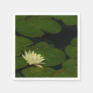 White Waterlily I Peaceful Floral Photography Servet