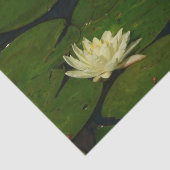 White Waterlily I Peaceful Floral Photography Tissuepapier (Detail)