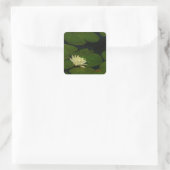 White Waterlily I Peaceful Floral Photography Vierkante Sticker (Tas)