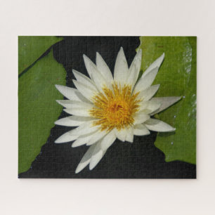 White Waterlily Legpuzzel