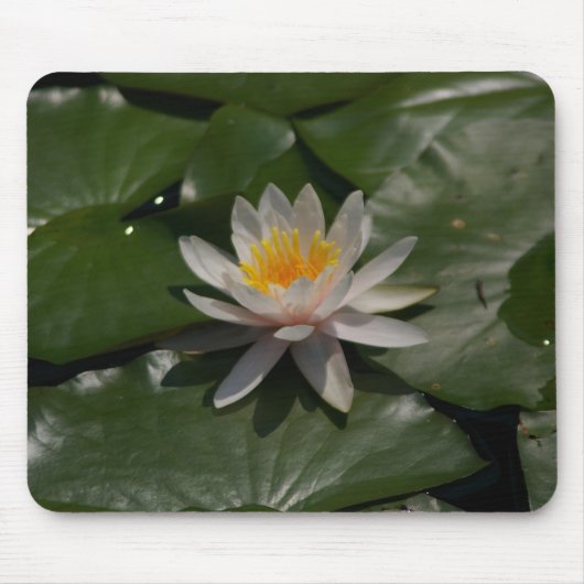 White Waterlily Mousepad Muismat (Voorkant)