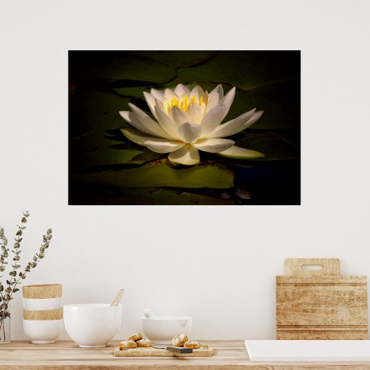 White Waterlily Poster (Keuken)