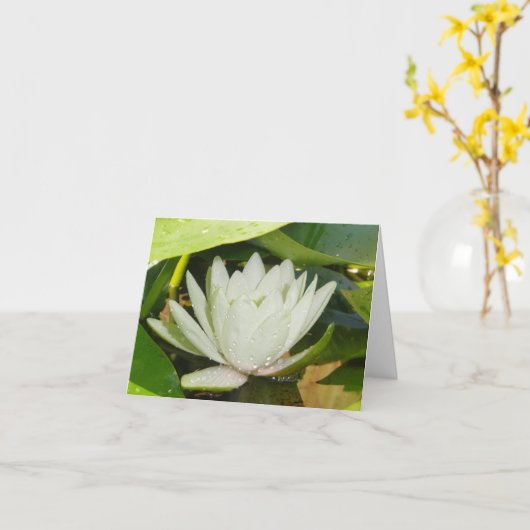 White Waterlily Sympathy Card Kaart (Gele Bloem)
