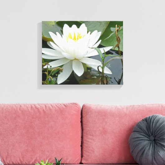 White Waterlily Wildflower Canvas Afdruk (Insitu (Woonkamer))