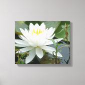 White Waterlily Wildflower Canvas Afdruk (Voorkant)