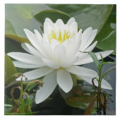 White Waterlily Wildflower Tegeltje (Voorkant)