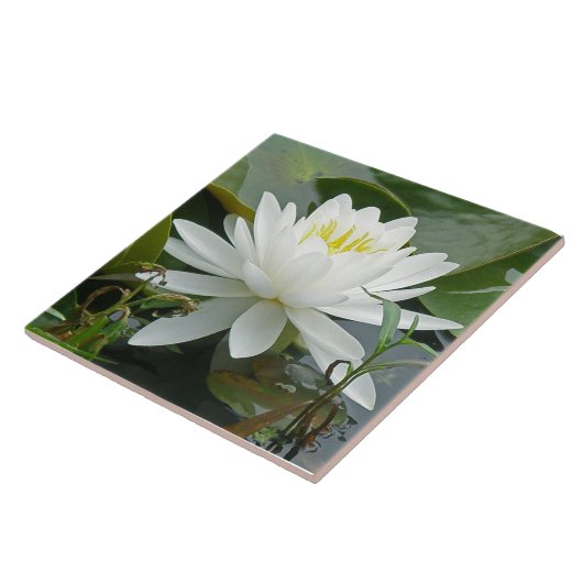 White Waterlily Wildflower Tegeltje (Zijkant)