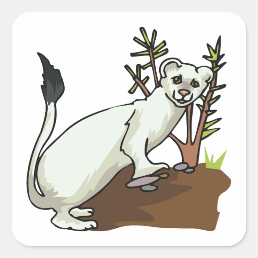 White Weasel Wildlife Square Sticker (Voorkant)