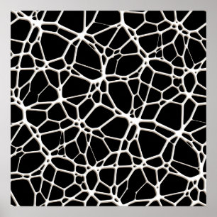 White Web Texture + uw bachgr. en ideeën Poster
