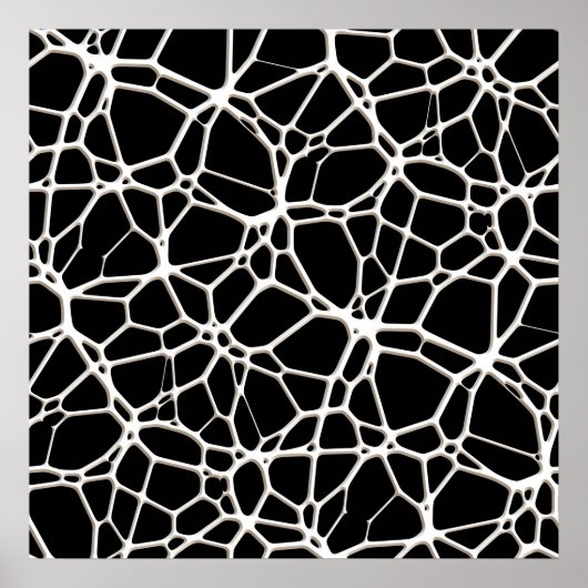 White Web Texture + uw bachgr. en ideeën Poster (Voorkant)