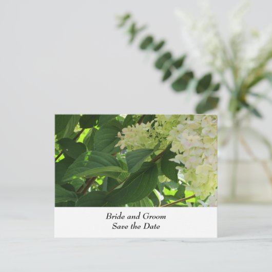 White Wedding Hydrangeas Aankondigingskaart (Staand voorkant)